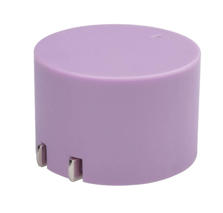 onn. 20W USB-C Wall Charger with Power Delivery, Purple, foldable plug for on the go. - The Bargin Chic Retail Store