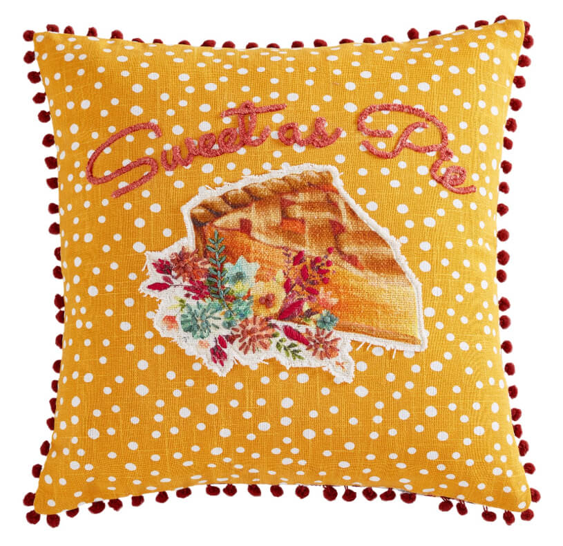 Pioneer Woman Decorative Throw Pillow – 18" x 18" Cotton Embroidered Accent Cushion